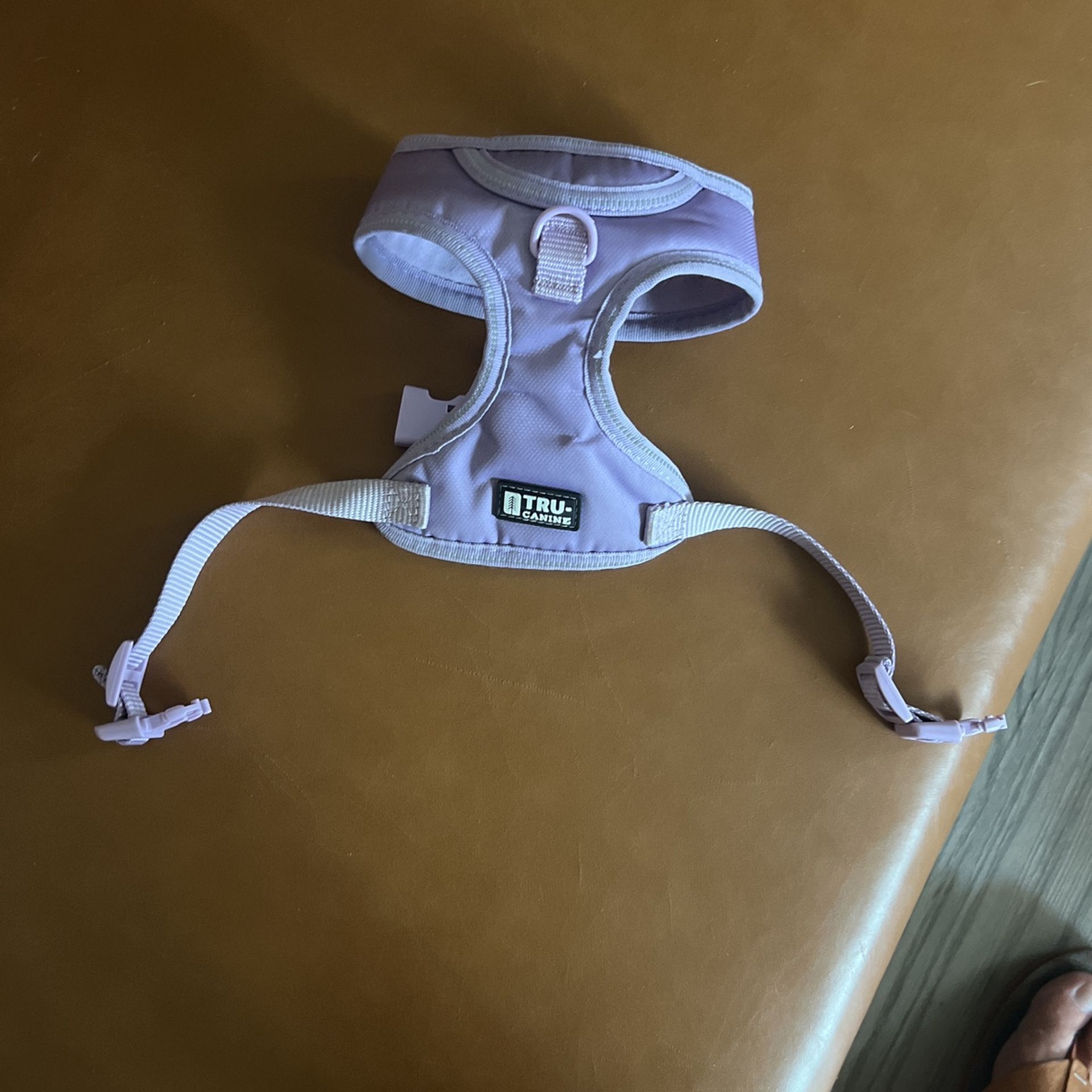 Small Purple Dog Harness Gently Used