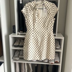 Zara Polka Dot Dress