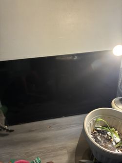 Flat Screens 50 Inch And 70 Inch