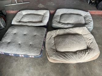 Dog Beds
