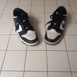 Panda Nike Dunks 