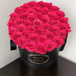 Roses