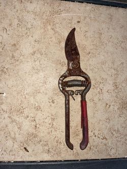 Vintage Tool Shears
