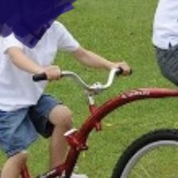 Co-Pilot Wee Ride Bike Attachment