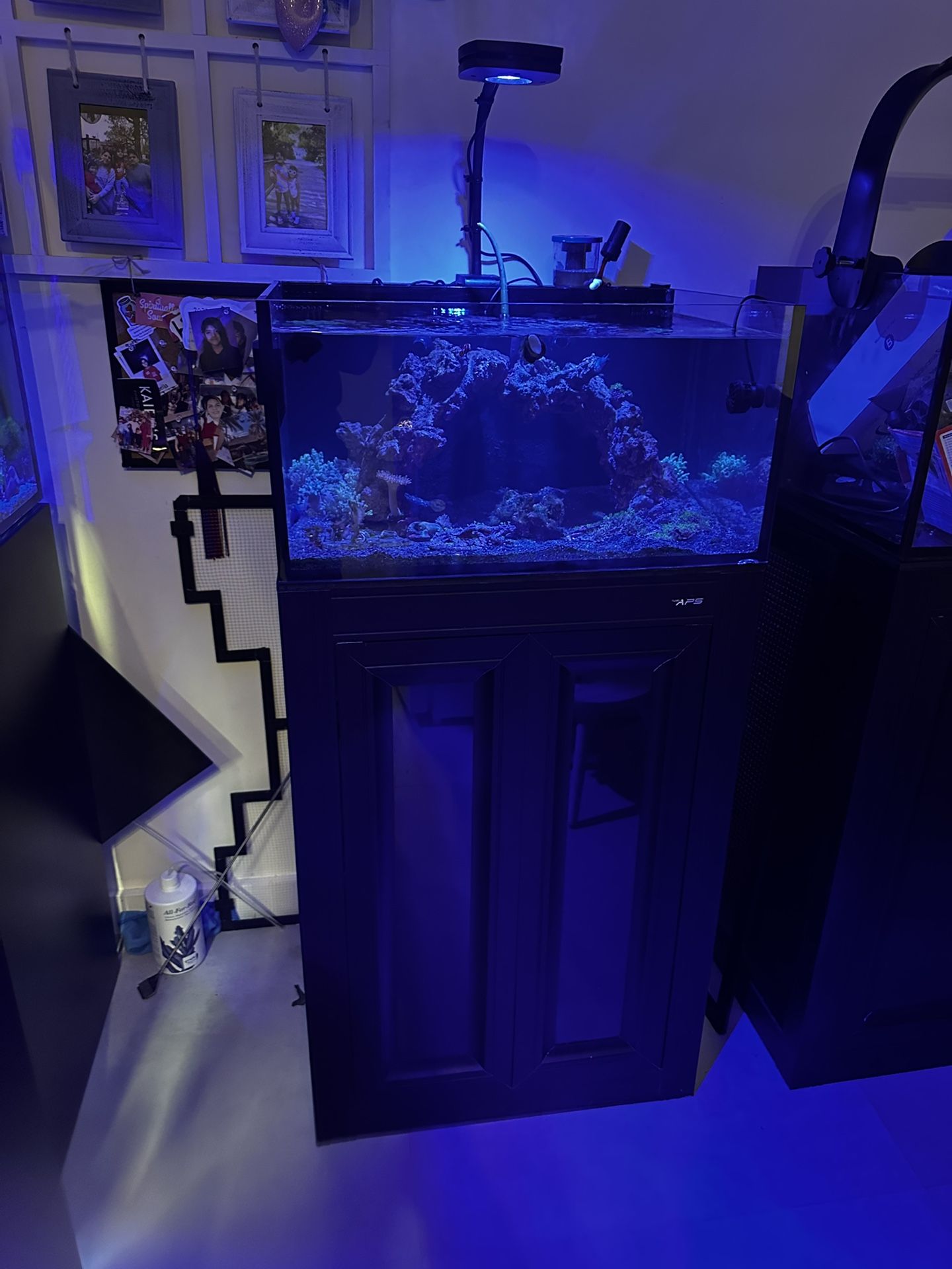 Fish tank Innovative Marine 30 gallons saltwater fishtank aquarium