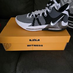 LeBron Witness VII