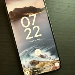 Pixel 9 Pro XL : Unlocked