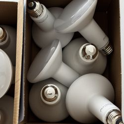 Indoor Spotlights ForCan Lighting