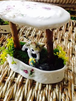 Teacup Fairy Garden... Live Moss And Plants