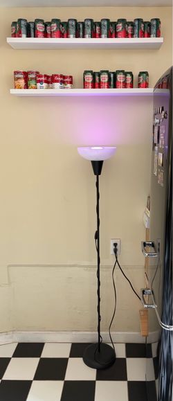 Fun Floor Lamp