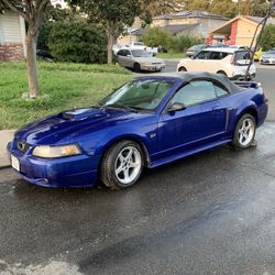 2002 Ford Mustang