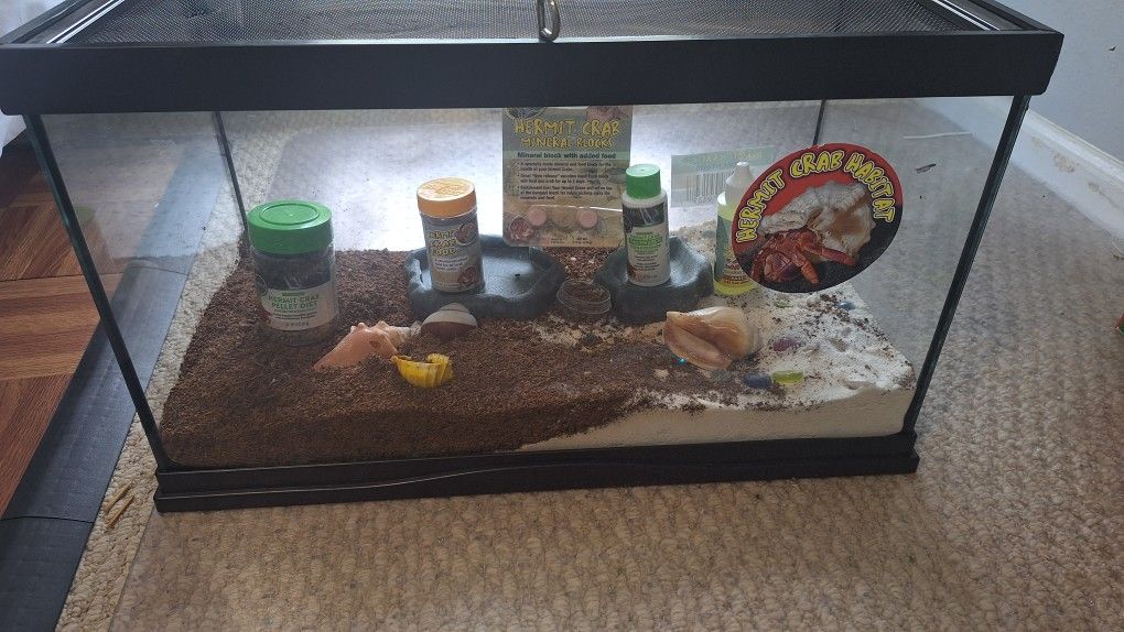 Hermit Crab Habitat, Almost New, Includes: Food, Salt Water Conditioners, And Mineral Blocks