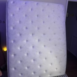 Queen Mattress, Box Springs, Simple Metal Frame, And Headboard