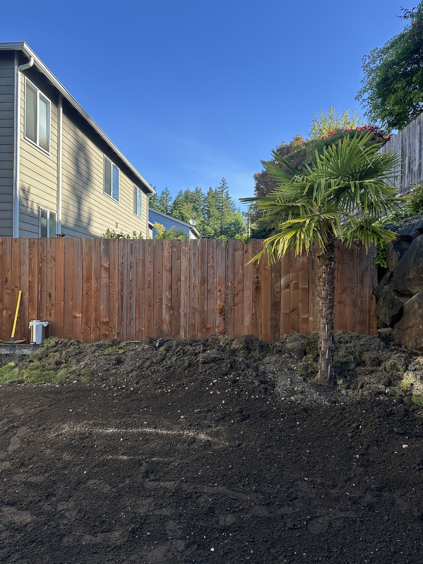 Free Soil