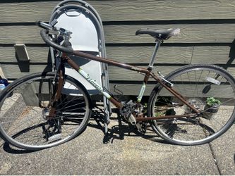 Adult bike