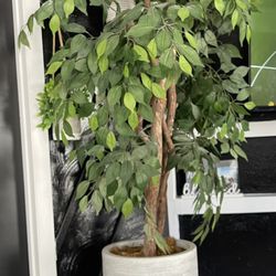 Tree Decor /artificial Plant 