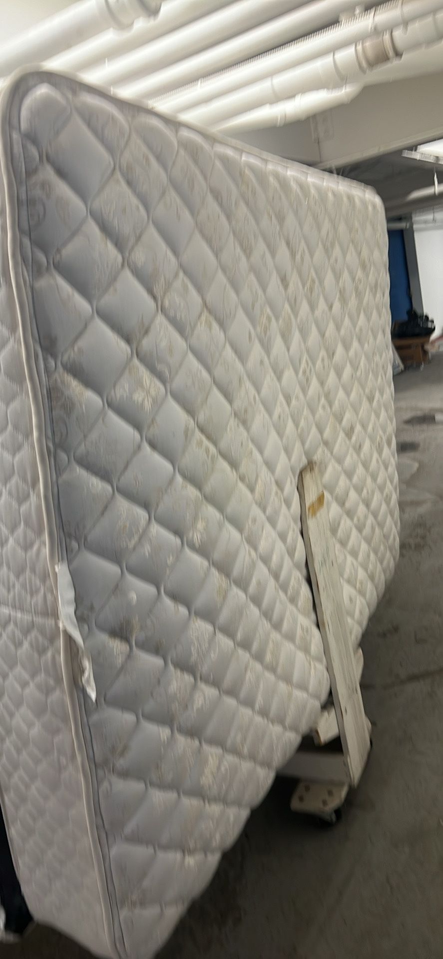 Sealy Mathis And Box Very Clean Good Condition Queen Size