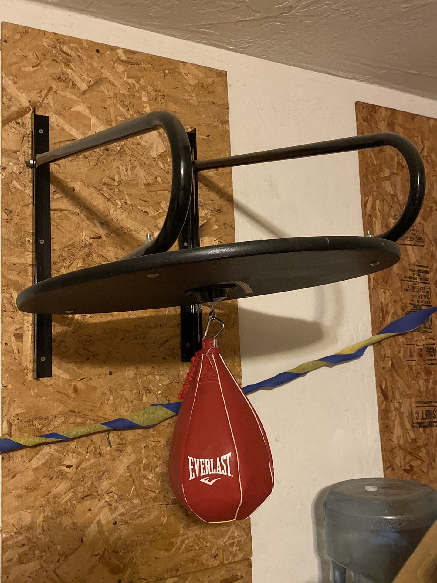 Boxing Speed Bag