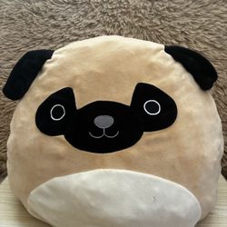Prince the Pug $8
