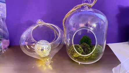 Glass Terrariums - 2 Shapes