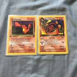 Charmander and dark charmeleon 