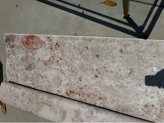 FREE Rug