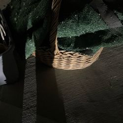 Cantaste la Súper Grande Free