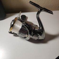 Shimano Stella-Expride Combo