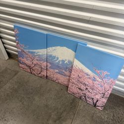 Canvas Picture Frames 20 Bucks Each