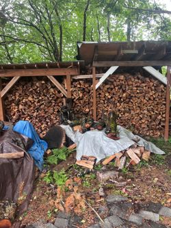 Seasoned  Firewood
