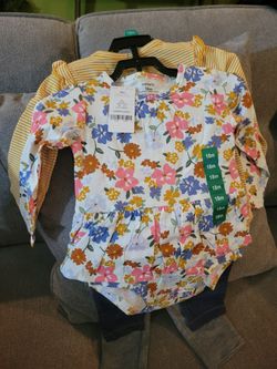 Carters 18 Month 4 Piece Baby Girl Outfit