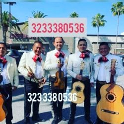 Trompeta Y Mariachi