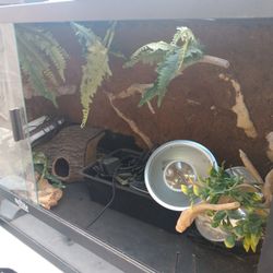 Reptile Enclosure With Key Lock Selling Together 
