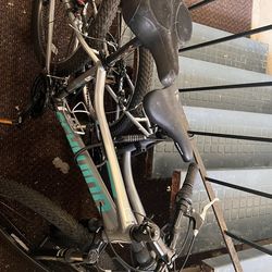 Teal and Silver bike