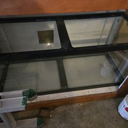 75 Gallon Tanks 
