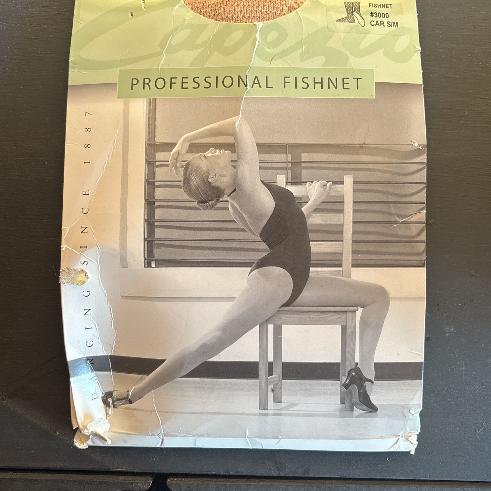 Capezio Women’s Nude Fishnets | Never Opened 