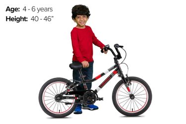 Guardian 16 inch kids bike
