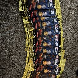 NASCAR limited edition, gold plated collectible coins