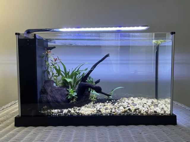 Fluval Spec 5 Gallon Fish Tank