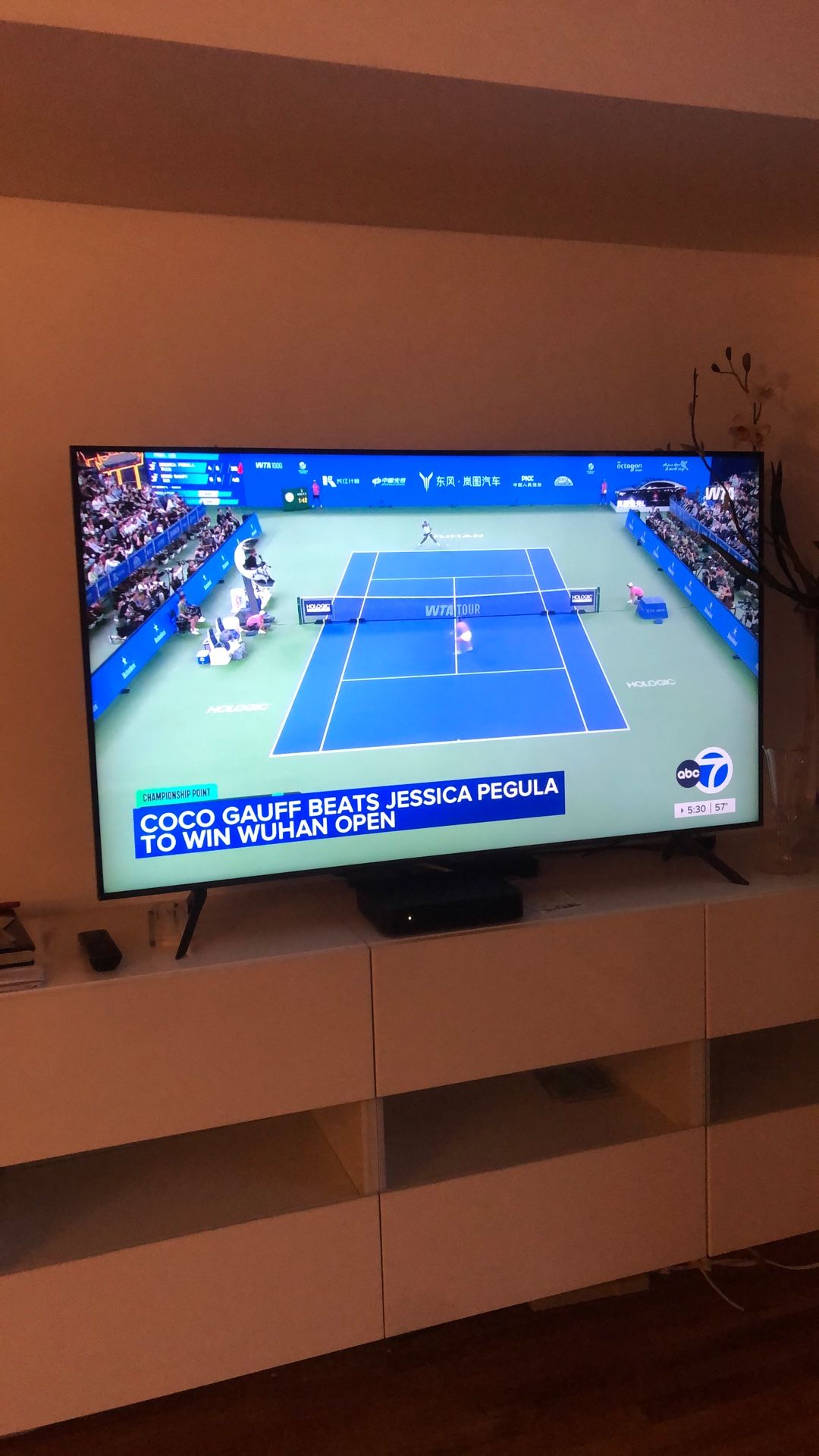 Smart Tv (Samsung)