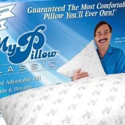 1 Regular Size  2 Childrens, Travel Size, And 1 Firm My Pillow! 