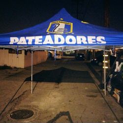 Easy Up Canopy 10ft By 10ft...