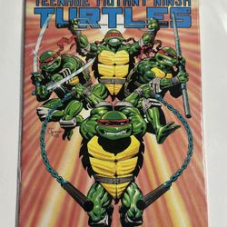 Teenage Mutant Ninja Turtles #24 (1989)