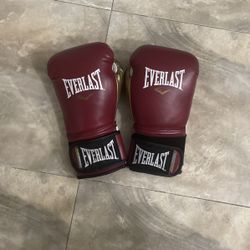 EVERLAST Boxing Gloves 