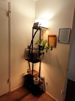 Lamp/plants stand/bookshelf organizer