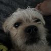 Flako