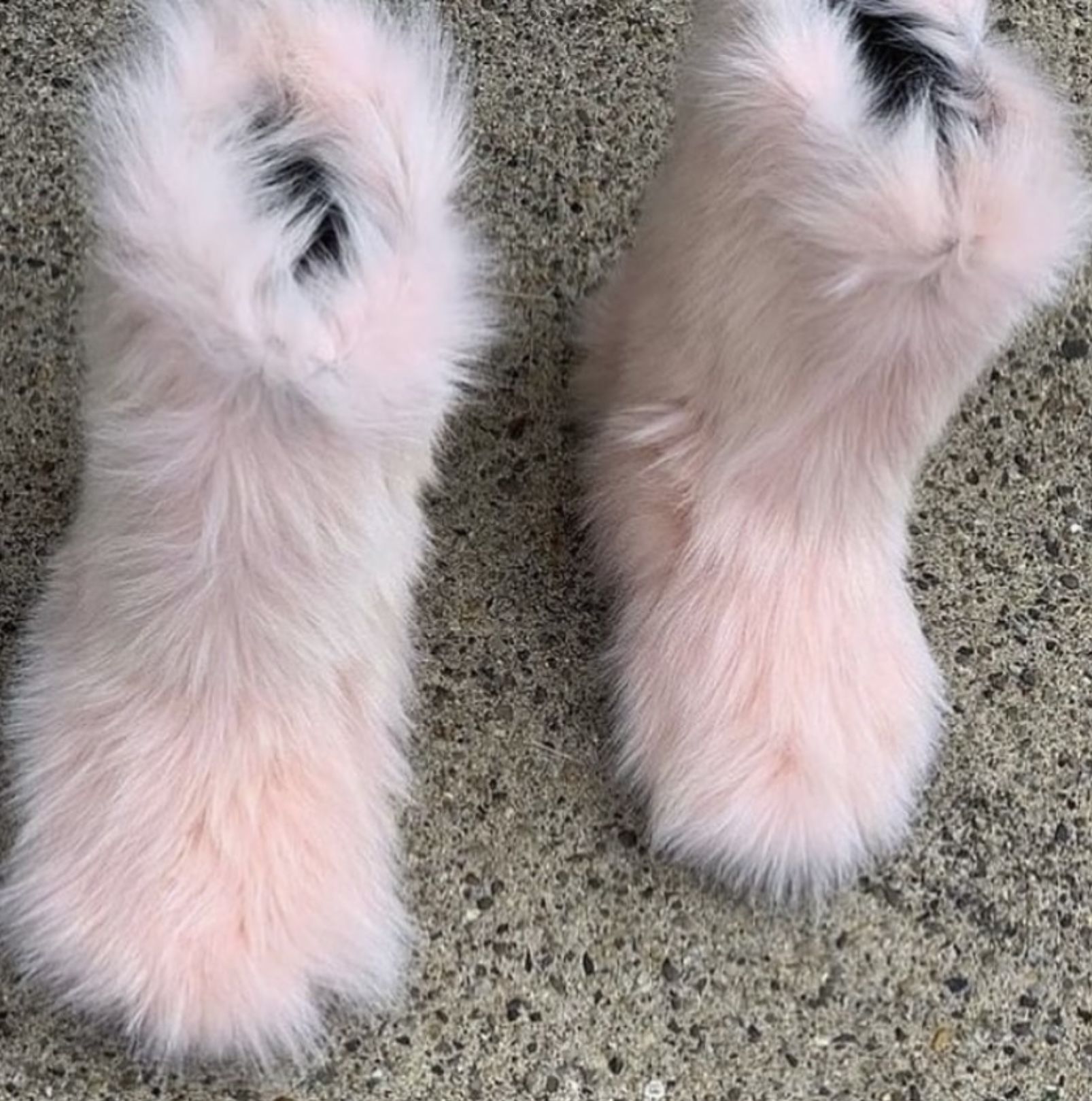 Light Pink Real Fur Boots Size 7&8