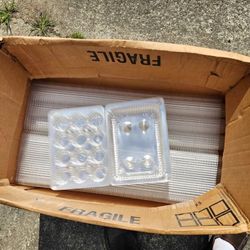 Mini Cupcake Container 