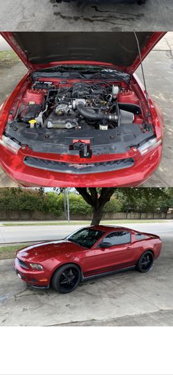 2010 Ford Mustang