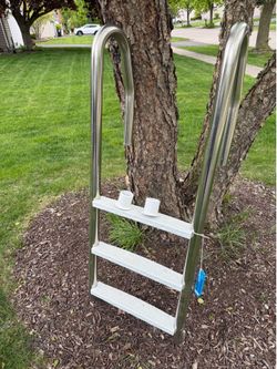 Stainless steel pool ladder